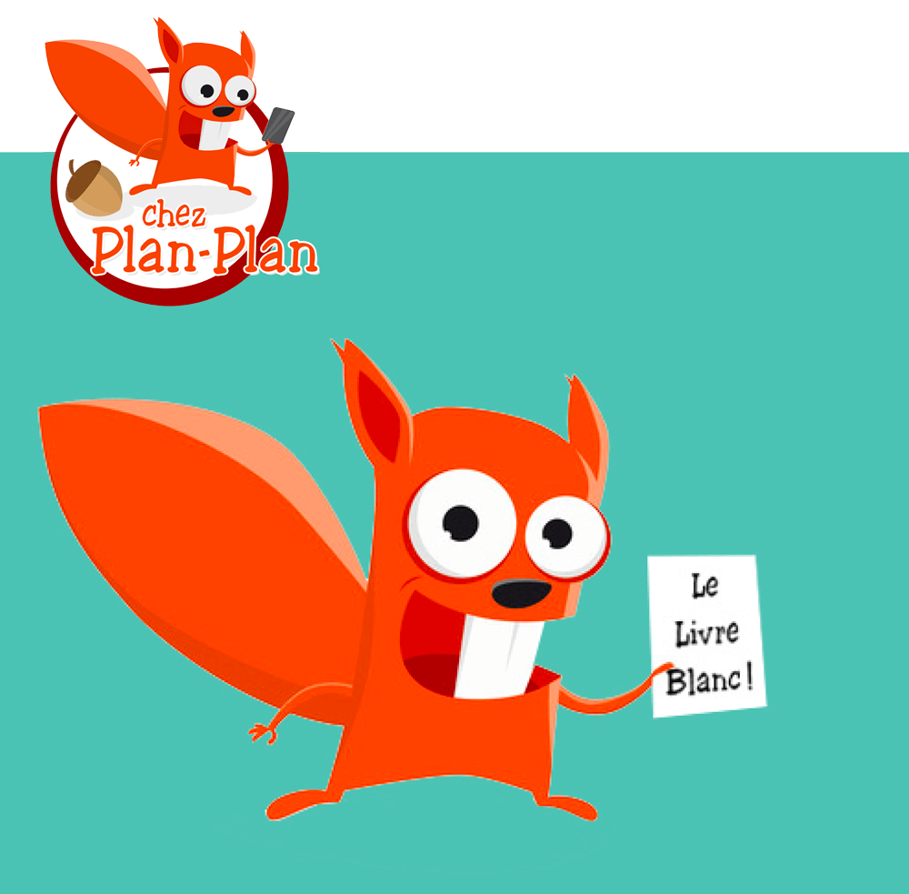 Livre blanc planplan 12 1